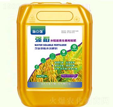 強(qiáng)稻生根返青柯杈肥-金基恒豐