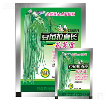 豆角拉直長-花莢寶-農夫