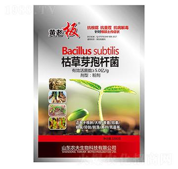 �ݲ�ѿ�ߗU��-�S�ϰ�-�r(n��ng)��