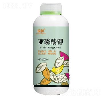 亞磷酸鉀0-525-375+TE-瑞植-瑞閣邁特