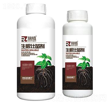 生根壯苗劑-瑞植-瑞閣邁特