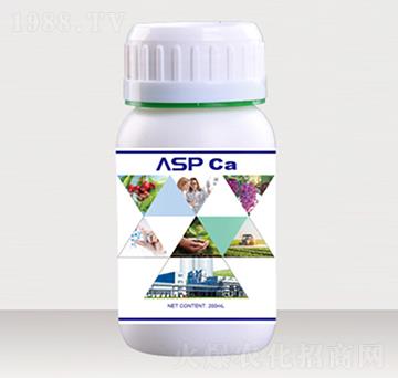 �����Ǵ��}-��ؐ��