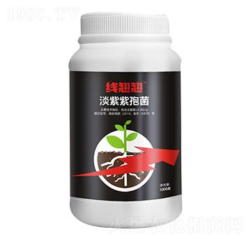 �������߾�-���N�N-�����_(d��)