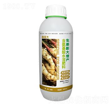 生姜膨大增產(chǎn)-喜旺大-原力肥業(yè)