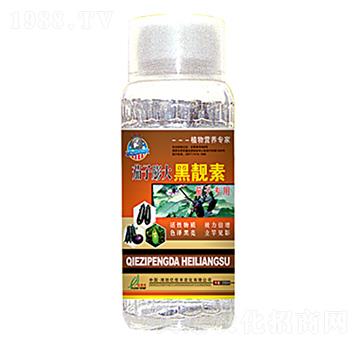 茄子膨大黑靚素-億佳豐
