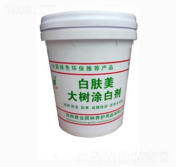 大樹涂白劑桶裝-白膚美-建業(yè)