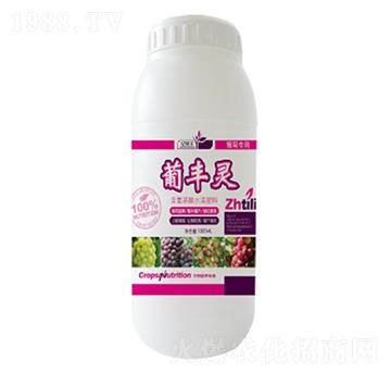 ���S�`-�|���S