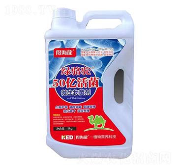 50�|���΢�������-�G��-������