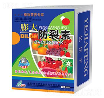 ��������-�|���S