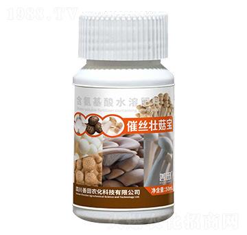 �߽z�ѹ���-����