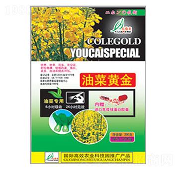 �Ͳ��S��-�|���S