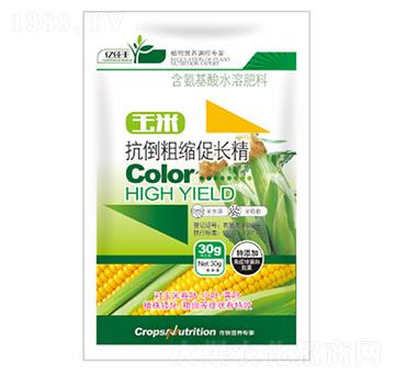 �����ֿs���L��-�|���S