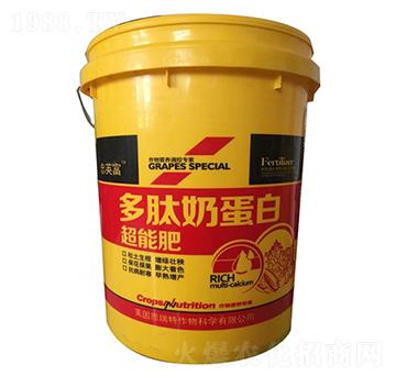 �����̵��׳��ܷ�-�|��