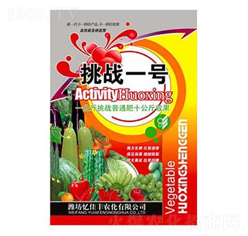 挑戰(zhàn)一號-億佳豐