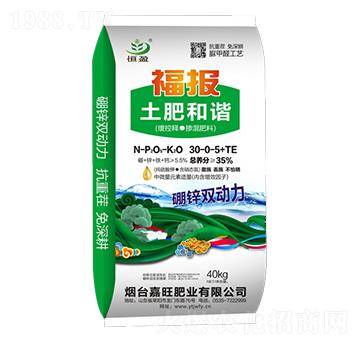 ����ጓ������30-0-5+TE-���ʺ��C-����