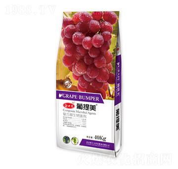 �ͺ�΢�������-������-��؁�����