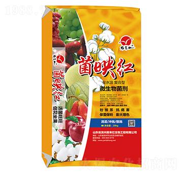 ΢�������-��ӳ�t-����t