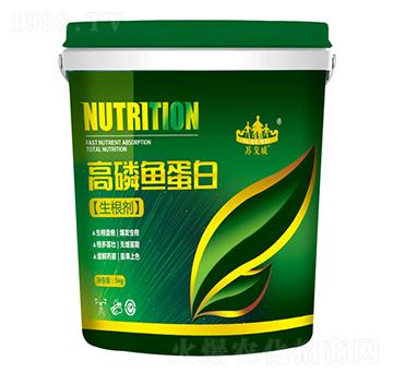 高磷魚蛋白-山東炬懷生物