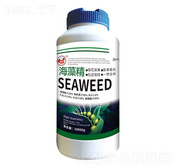 海藻精-山東炬懷生物