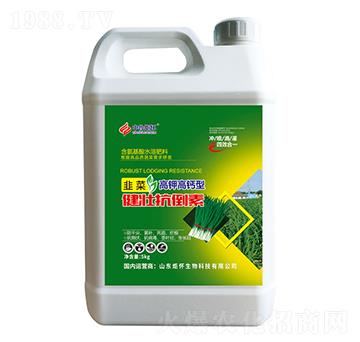 韭菜健壯抗倒素-山東炬懷生物