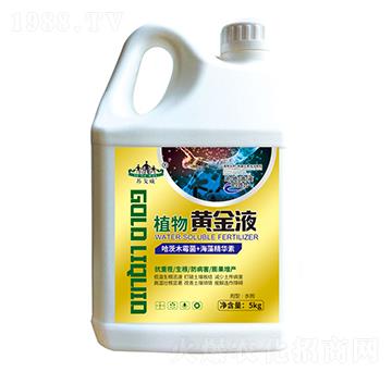 植物黃金液-山東炬懷生物