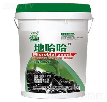 �����G�~��΢�������-�ع���-�����S