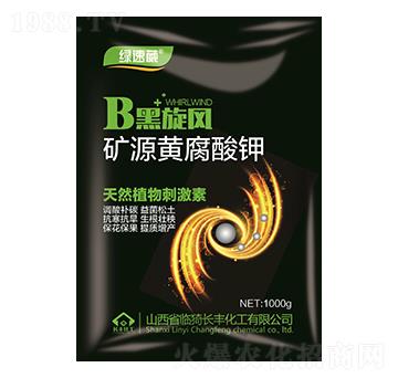 �VԴ�S�����-�����L-�G����-�L�S����