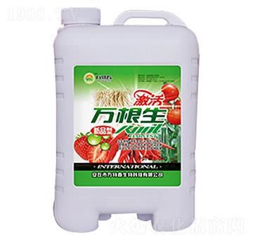 草莓辣椒萬(wàn)根生-萬(wàn)物春