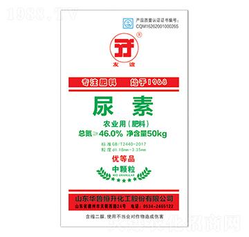 ���w������-���x-�A������