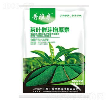 茶葉催芽增厚素-普維康-千普生物