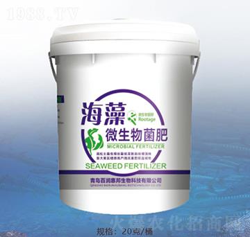 ����΢�������-�ٝ�(r��n)�ݰ�