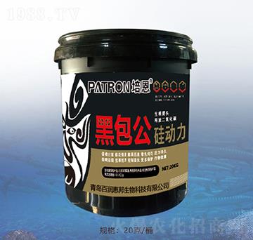 �ڰ��������-�ٝ��ݰ�