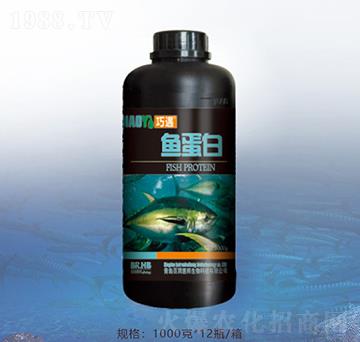 1000克魚蛋白-百潤(rùn)惠邦