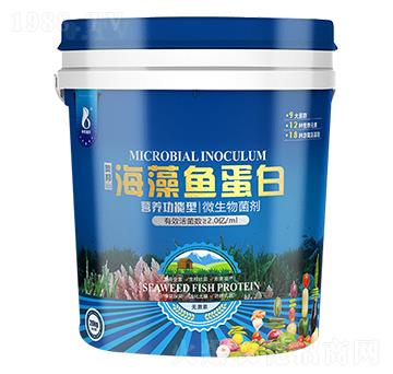 海藻魚蛋白微生物菌劑-中農(nóng)奧邦