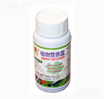 植物營(yíng)養(yǎng)露-農(nóng)康生物