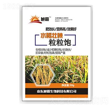 水稻壯秧粒粒飽-旭霸生物