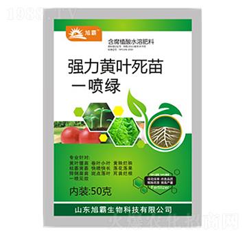 強(qiáng)力黃葉死苗一噴綠-旭霸生物