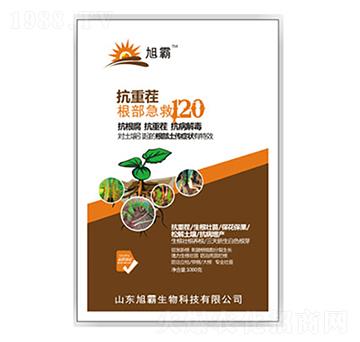抗重茬根部急救120-旭霸生物