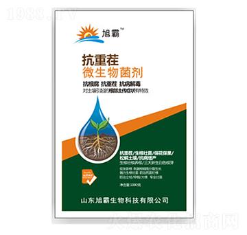 抗重茬微生物菌劑-旭霸生物