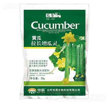 黃瓜拉長(zhǎng)增瓜靈-旭霸生物