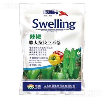 辣椒膨大拉長(zhǎng)三不落-旭霸生物