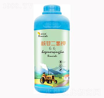 ���ն����-�����r-�f���r��