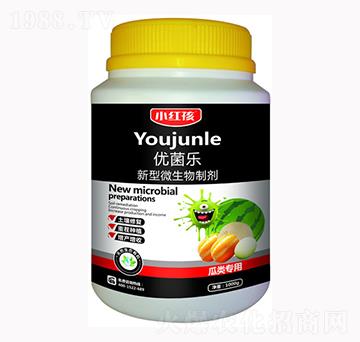 �����΢�������-��(y��u)����-�f���r��