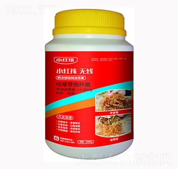 �ݲ�ѿ�ߗU��-С�t��-�f���r��