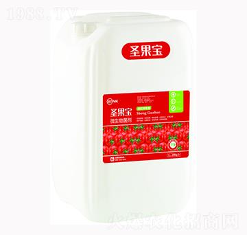 ʥ����΢�������-�f���r��