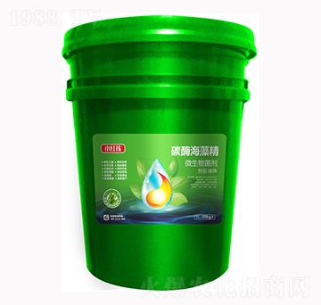 ̼ø���徫΢�������-С�t��-�f���r��