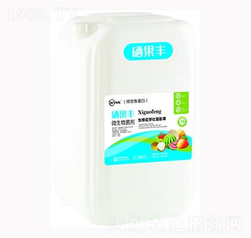 �����S΢�������-�f���r��