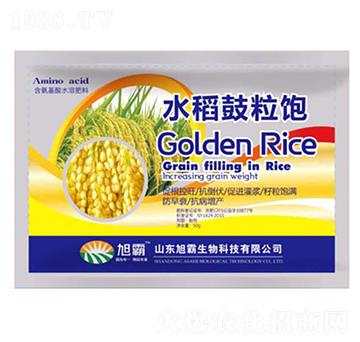 水稻鼓粒飽-旭霸生物