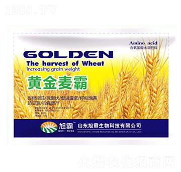 黃金麥霸-旭霸生物