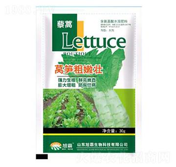 萵筍粗嫩壯-旭霸生物